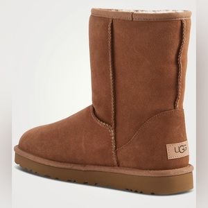 UGG Classic Short Il Sheepskin Boots (Authentic and New w/box)